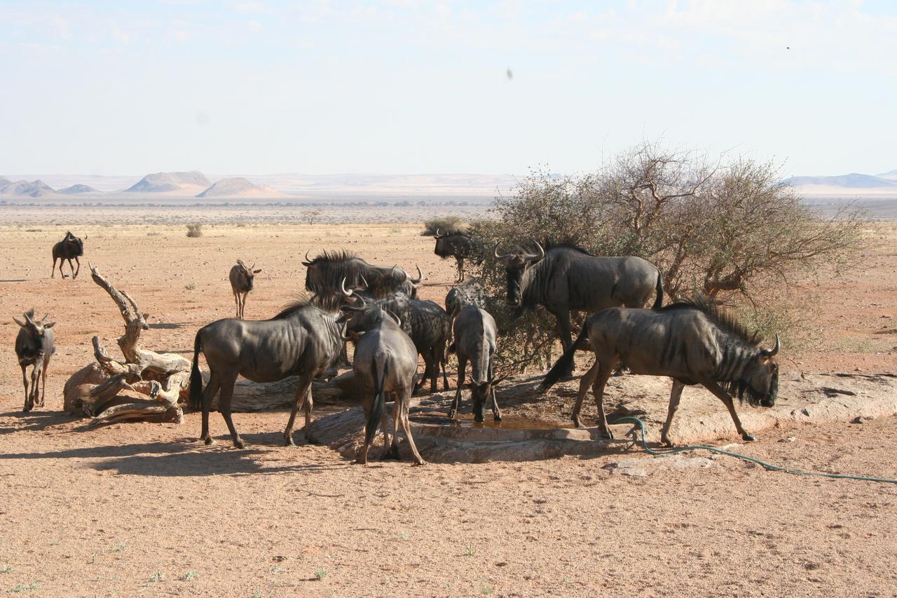 Namib Naukluft Lodge Solitaire Exteriér fotografie